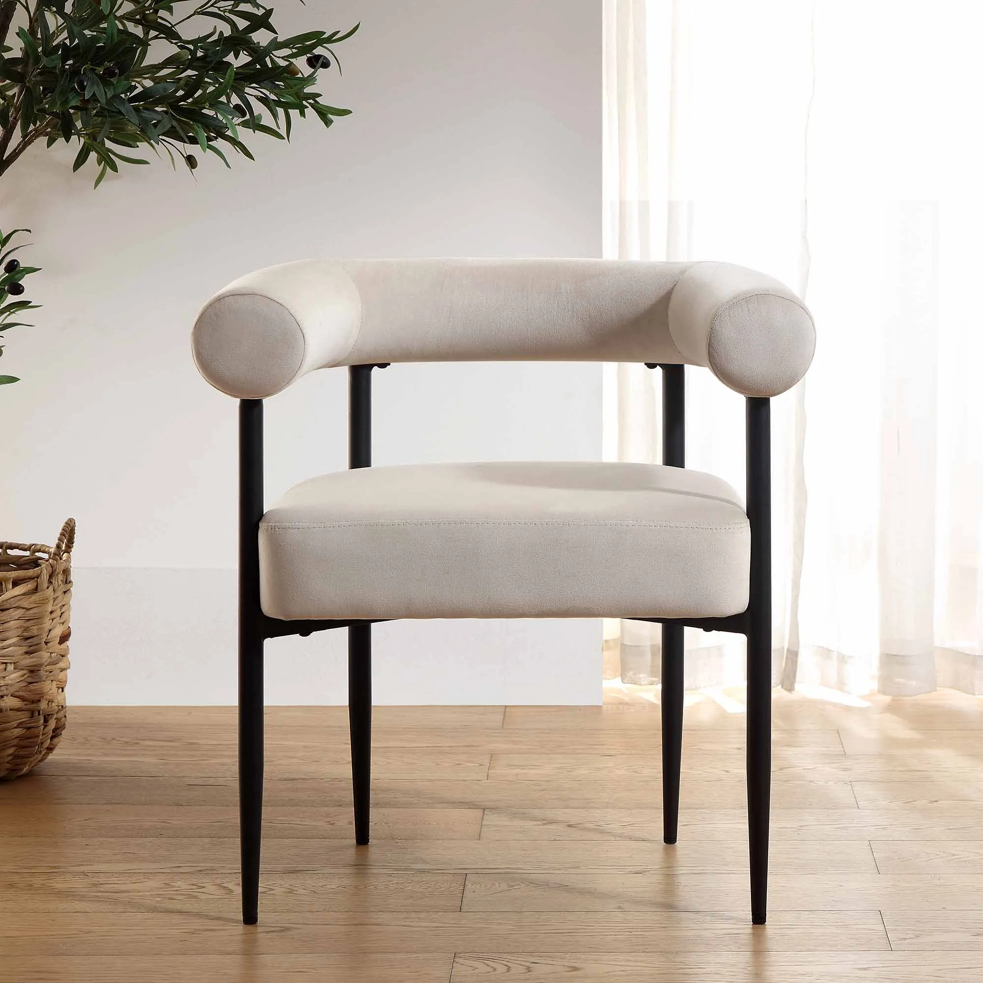 Fulbourn Champagne Velvet Dining Chair with Black Legs