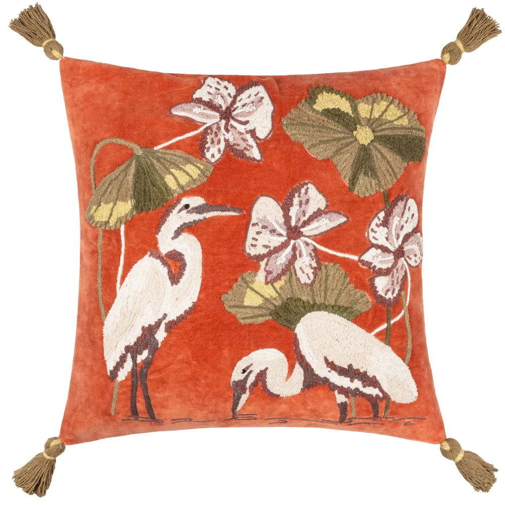 Kushiro Cushion Coral