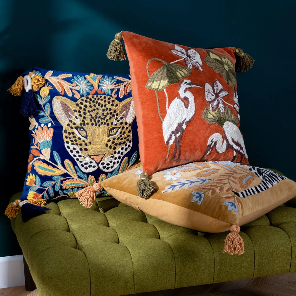 Kushiro Cushion Coral