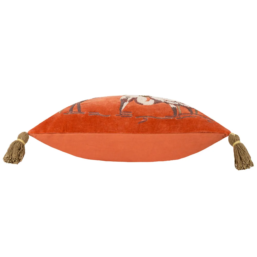 Kushiro Cushion Coral