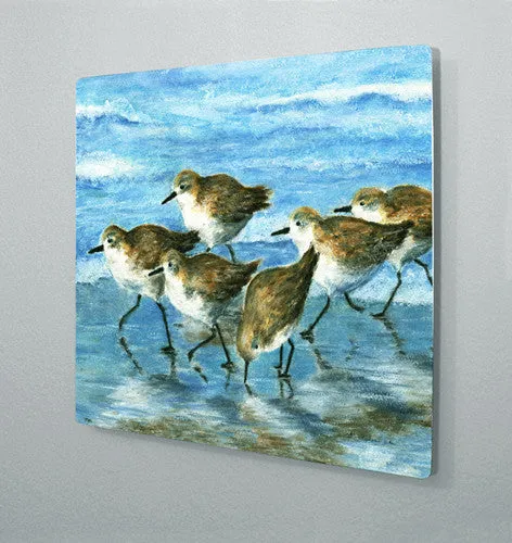 Morning Run Aluminum Wall Art
