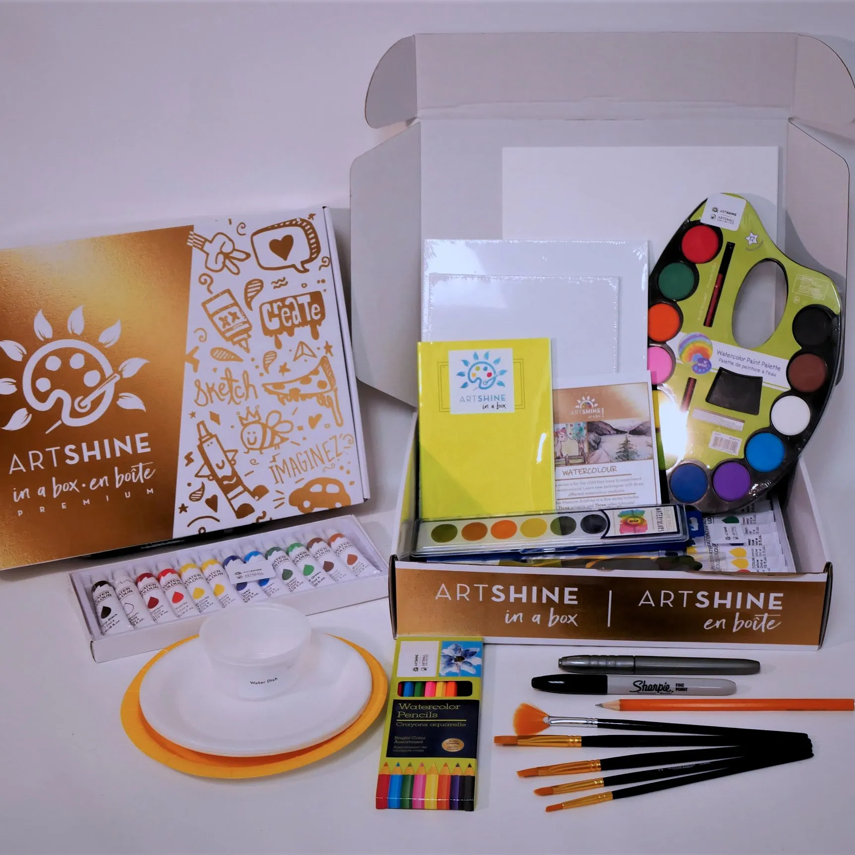 Watercolour Art Kit   Video Tutorials |  Create Fun Projects Using Watercolour Palette, Tubes, and Pencil Crayons (Premium Box)